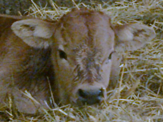 Photo0139